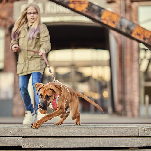 Hurtta Adventure Harness Hurtta Venture No Pull Harness