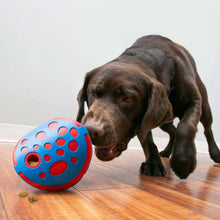Dog toy KONG® Rewards Wally®