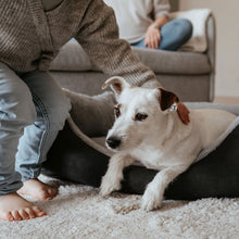 Orthopaedic/Ergonomic Dog Sofa Rockford