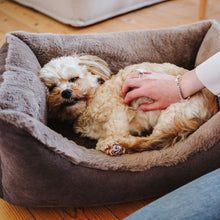 Orthopaedic/Ergonomic Dog Sofa Rockford