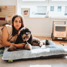 Dog Cushion Rockford