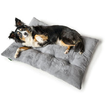 Dog Cushion Rockford