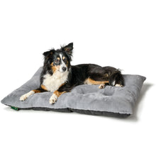 Dog Cushion Rockford