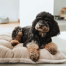 Dog Cushion Rockford