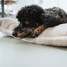 Dog Cushion Rockford