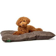 Dog Cushion Rockford