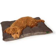 Dog Cushion Rockford