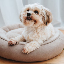 Dog Bed Donut Rockford