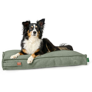 Recycling Dog cushion Belluno