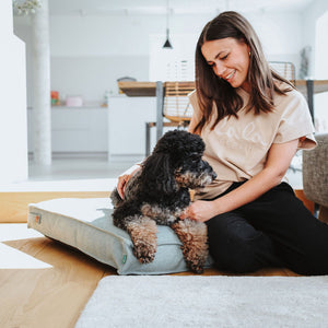 Recycling Dog cushion Belluno