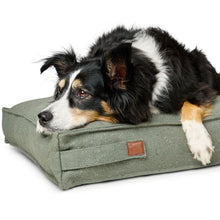 Recycling Dog cushion Belluno