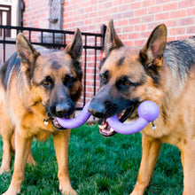 Dog toy KONG® Ogee™ Stick