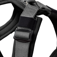 Harness Maldon Up