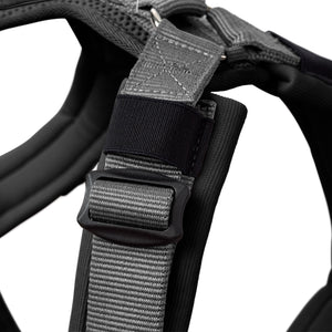 Harness Maldon Up
