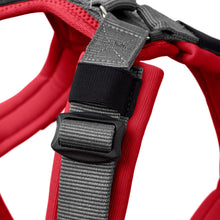 Harness Maldon Up