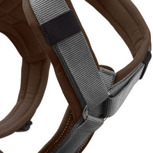 Harness Maldon Up