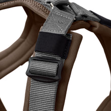Harness Maldon Up