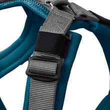 Harness Maldon Up