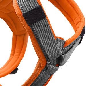 Harness Maldon Up