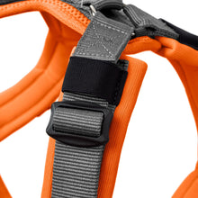 Harness Maldon Up