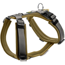 Harness Maldon Up