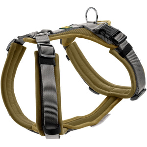 Harness Maldon Up