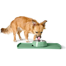 Melamine Feeding Bowl Kington