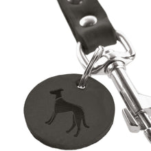 Leash