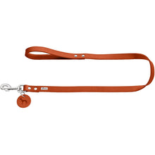 Leash