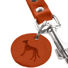 Leash