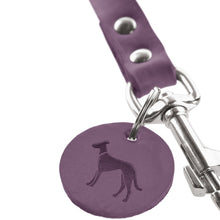 Leash