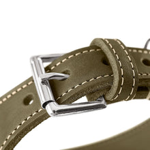 Greyhound Collar Aalborg