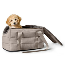 2-in-1 Dog Carrier and Blanket Seoul
