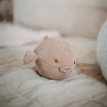 Dog Toy Wales