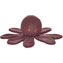Dog Toy Wales