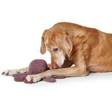 Dog Toy Wales