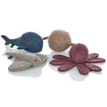 Dog Toy Wales