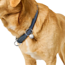 Training Collar Malibu