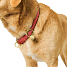 Training Collar Malibu