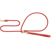 5in1 Multifunctional leash Malibu 8/300