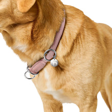 Training Collar Malibu