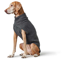 Dog Pullover Genf