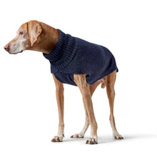 Dog Pullover Genf