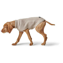 Dog Pullover Genf