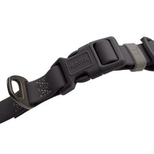 Collar With Quick-Release Buckle Havanna