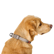 Collar With Quick-Release Buckle Havanna