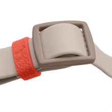 Collar With Quick-Release Buckle Havanna