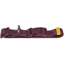 Collar With Quick-Release Buckle Havanna
