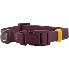 Collar With Quick-Release Buckle Havanna