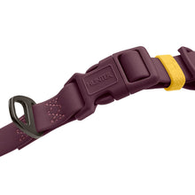 Collar With Quick-Release Buckle Havanna